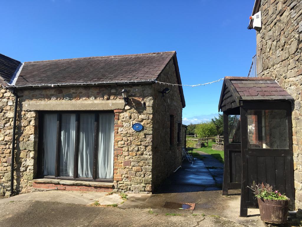 Clyne Farm Centre Villa The Mumbles Exterior foto